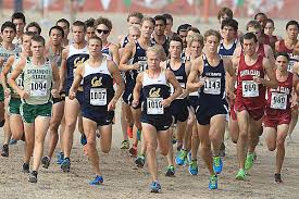 people running in a race