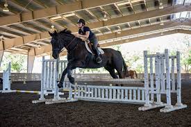 a person and their horse jumping over an obstacle