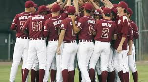 a group of baseball teammates in a huddle