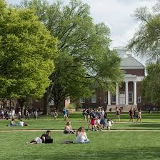a group of transfer students working together on the grass