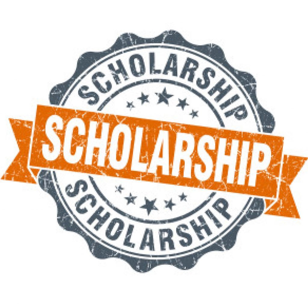 Top 10 Scholarships at Florida State University OneClass Blog