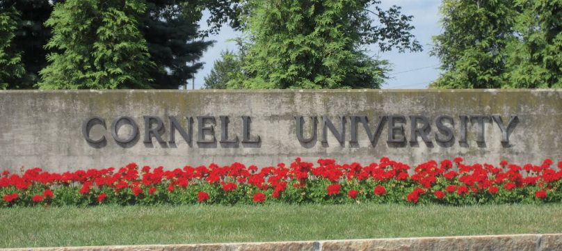 Top 10 Sports Teams at Cornell University - OneClass Blog