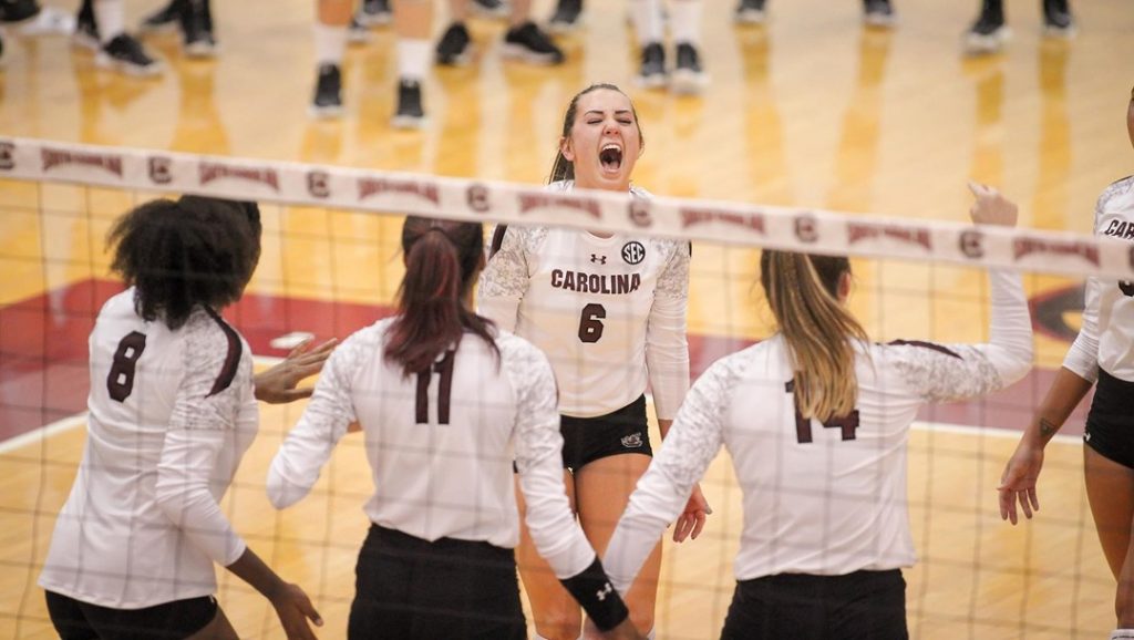 Top 10 Sports Teams at the University of South Carolina OneClass Blog