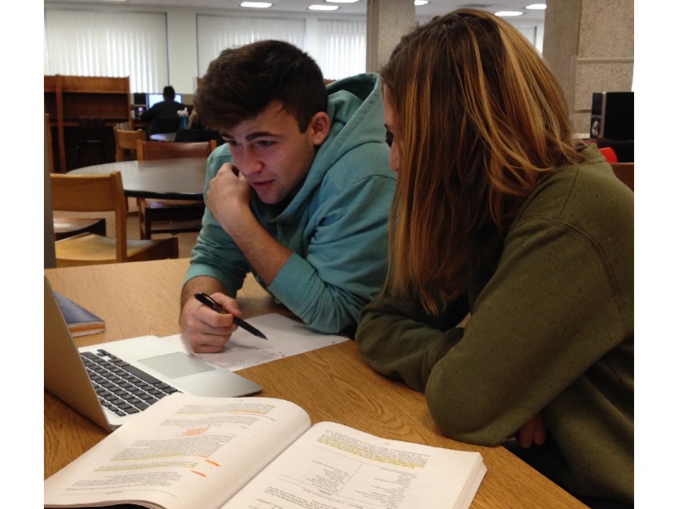 Tutoring Services At Binghamton University Oneclass Blog