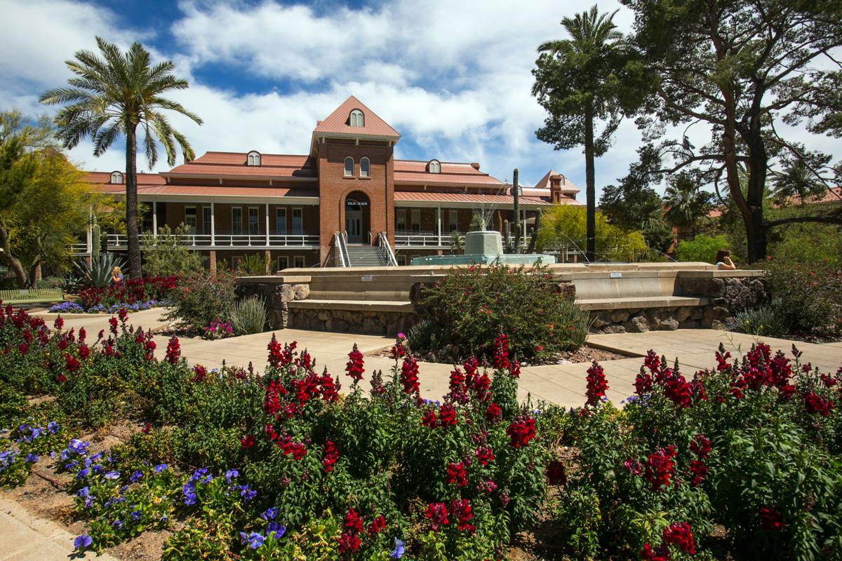 Top 10 Majors at University of Arizona OneClass Blog