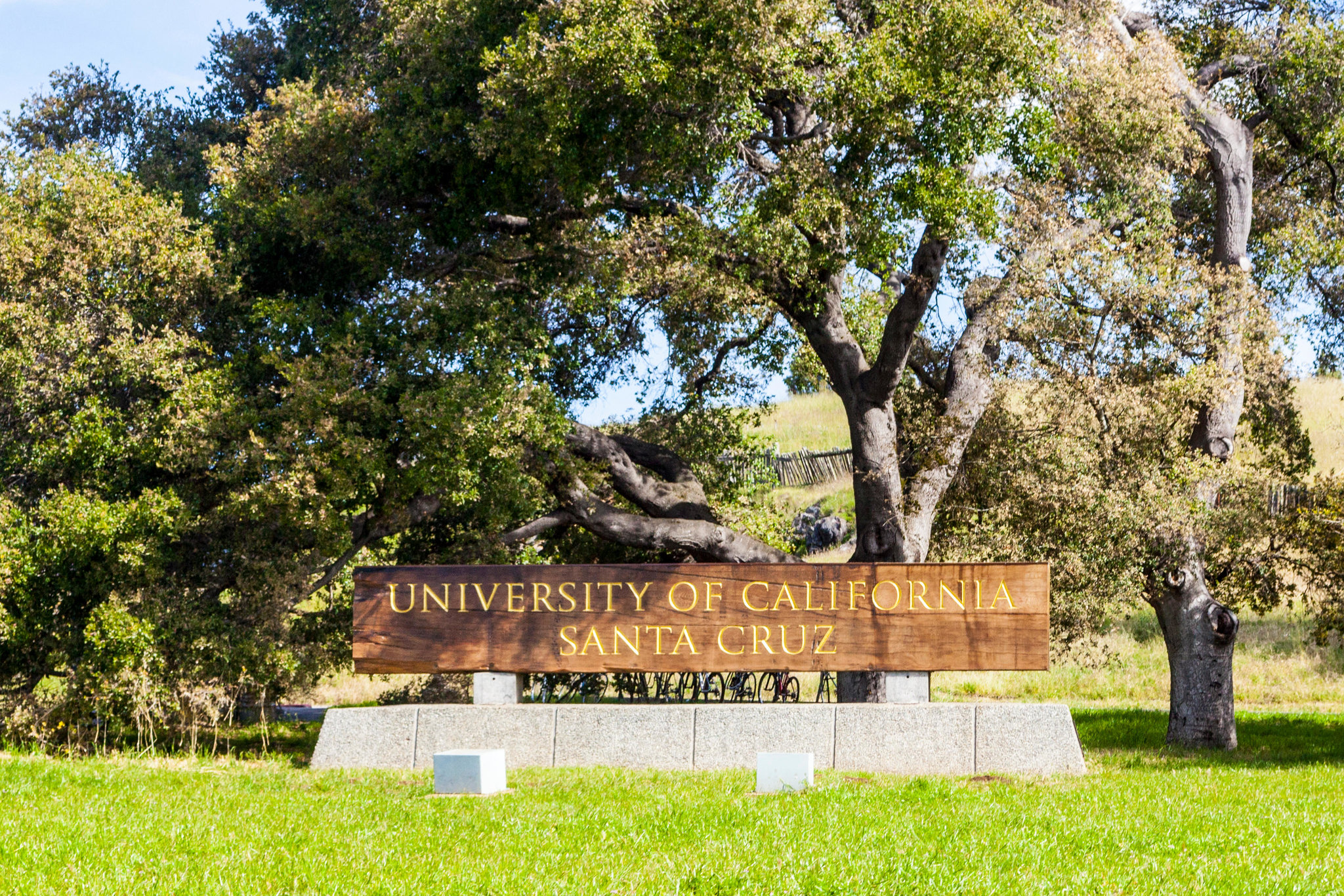 california santa cruz university