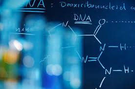 DNA molecules written down on a blue board. 