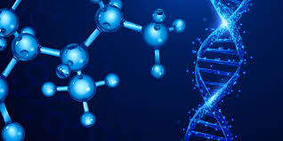 DNA and molecules in the body.