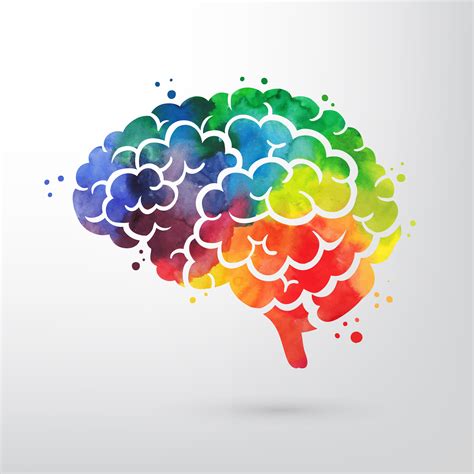 A drawing of a brain with a colorful appearance.