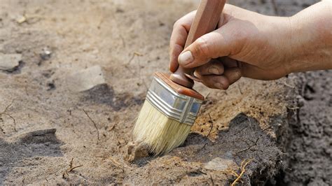 A person brushing the dirt with a brush tool.