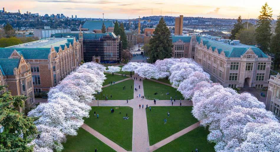 Past Exams and Midterms at University of Washington OneClass Blog