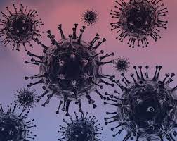 the COVID-19 virus