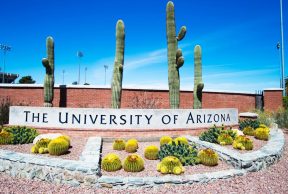 20 Online Courses at University of Arizona