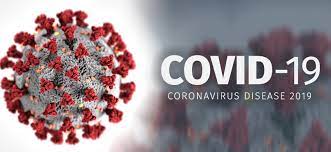 the Coronavirus Disease 2019